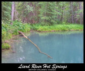 Liard Hot Springs Beta Pool