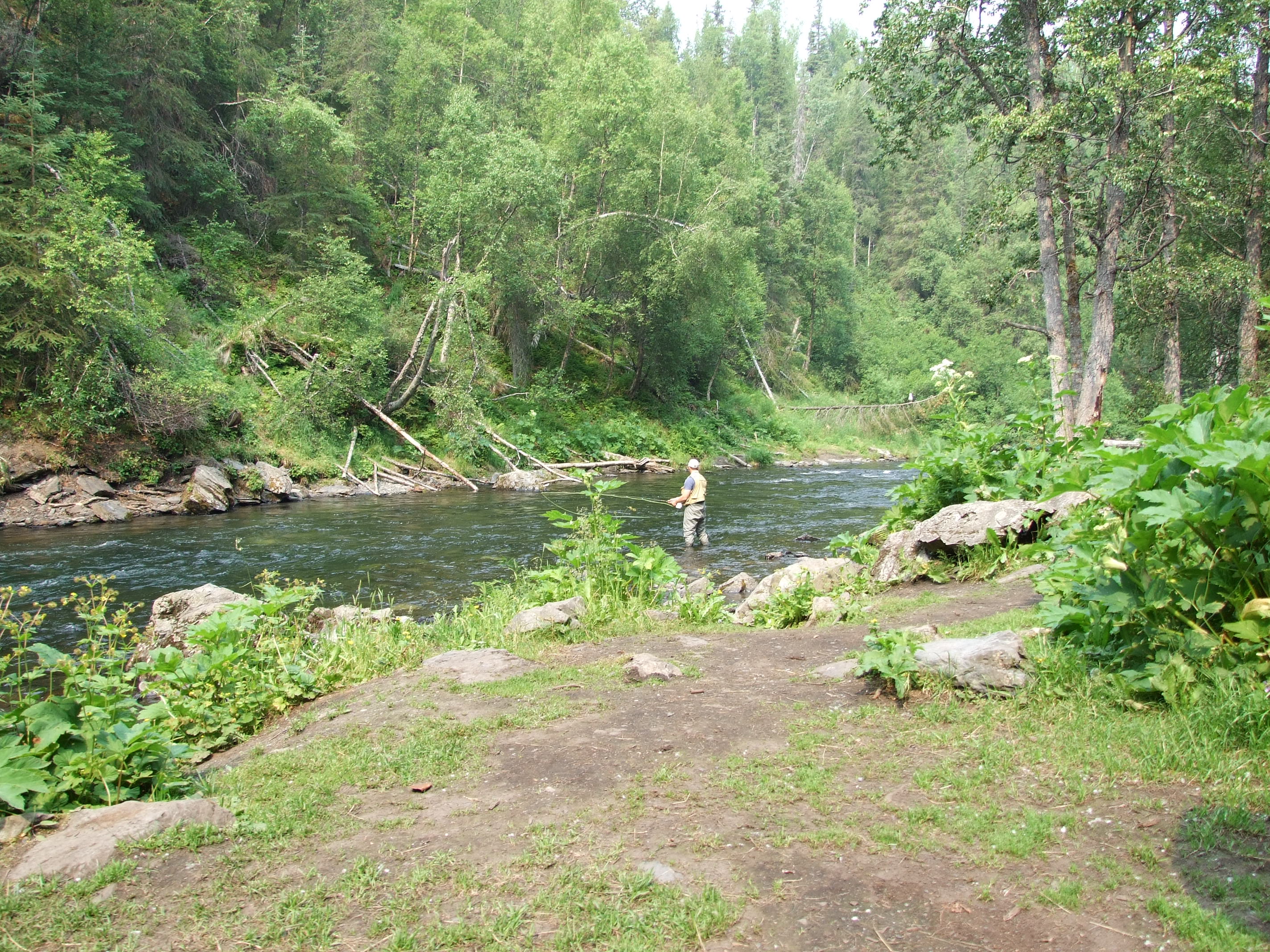 salmon-fishing-the-road-chose-me