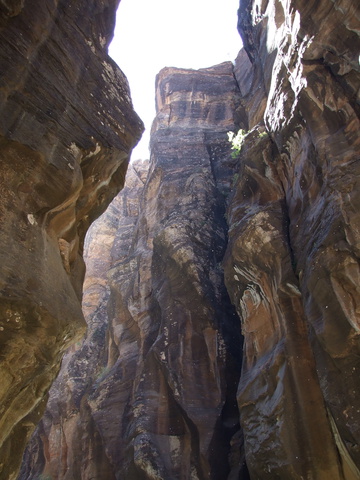 high canyon 360x480