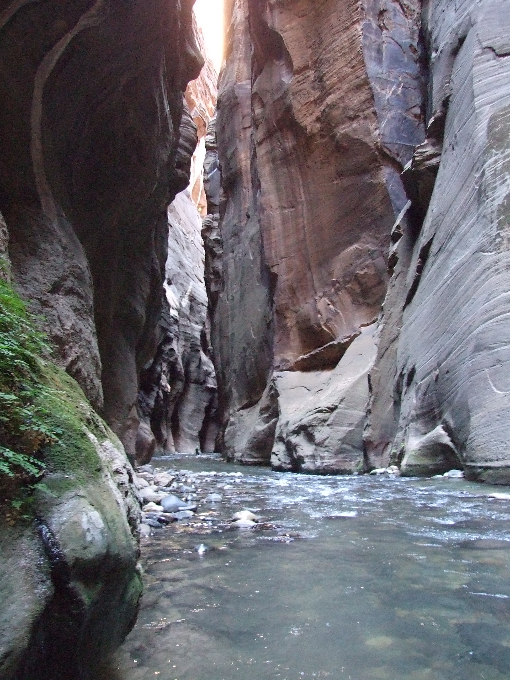 the_narrows The Road Chose Me