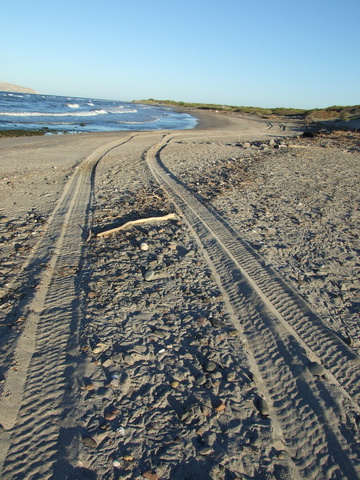 beach camping tracks 360x480