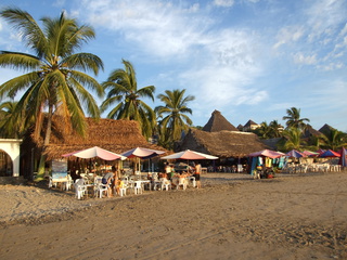 Palm trees a plenty beachside at La Manzanilla