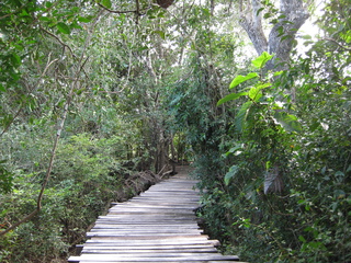 boardwalk 320x240