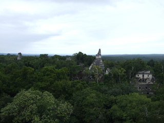 tikal sunrise 320x240