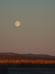 yukon fall moon 180x240