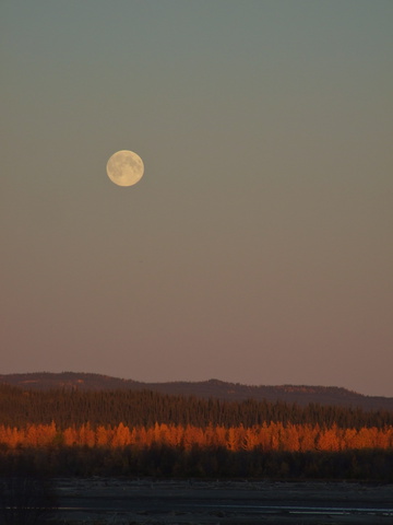 yukon fall moon 360x480