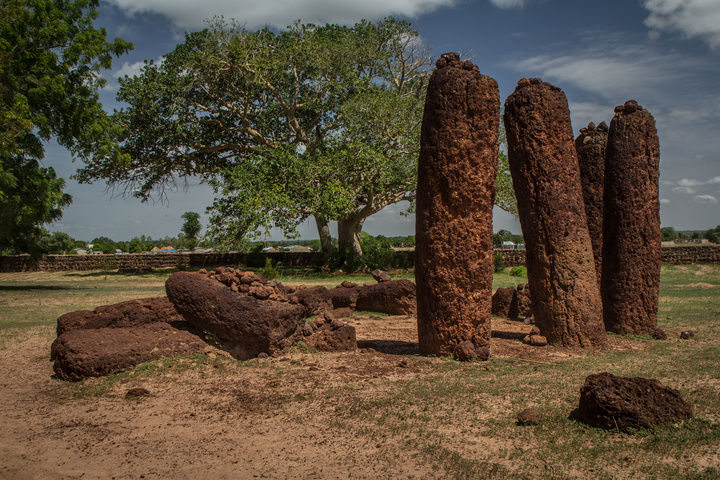 wassu stones tree 720x480