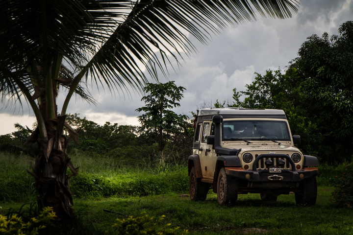 jeep tropical jungle 720x480