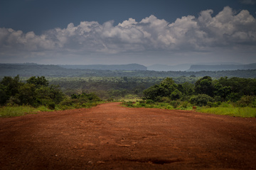 Guinea highway