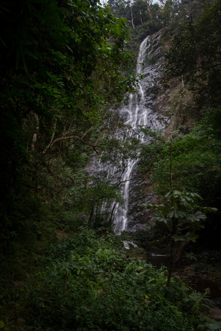 tomegbe waterfall togo through trees 320x480