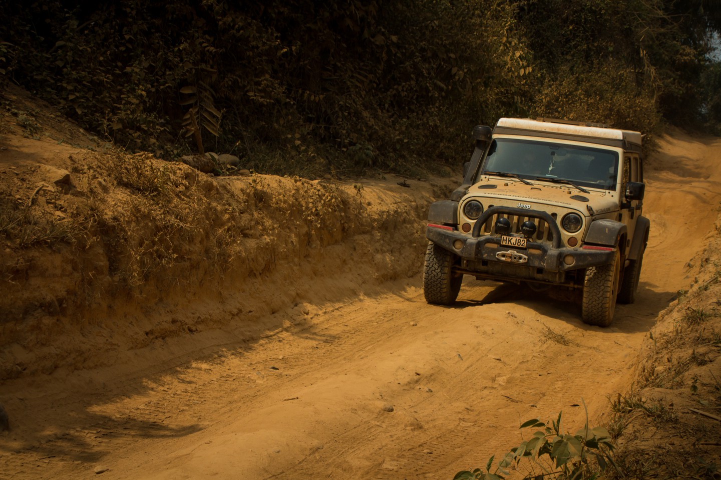 Into Cameroon The Road Chose Me