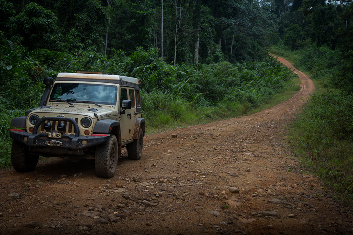 jeep africa jungle road 720x480