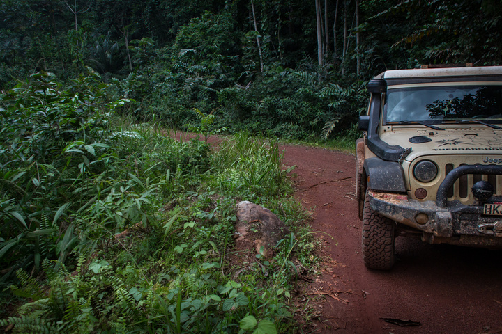 gabon jungle jeep 720x480