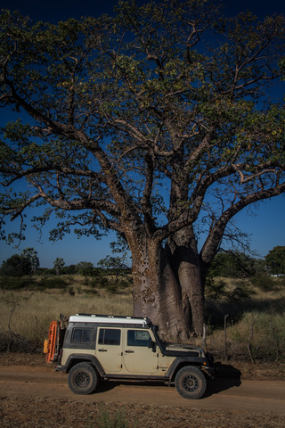 jeep africa angola boabab 320x480