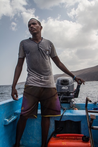 djibouti searching for whale sharks 320x480